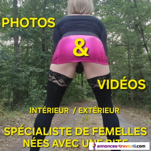 Membre