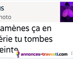 Administrateur du bled Alger