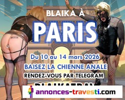 La chienne anal est à Paris