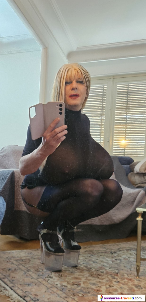 Pute à dispo à partir du 24 octobre