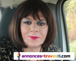 Sortie du jour