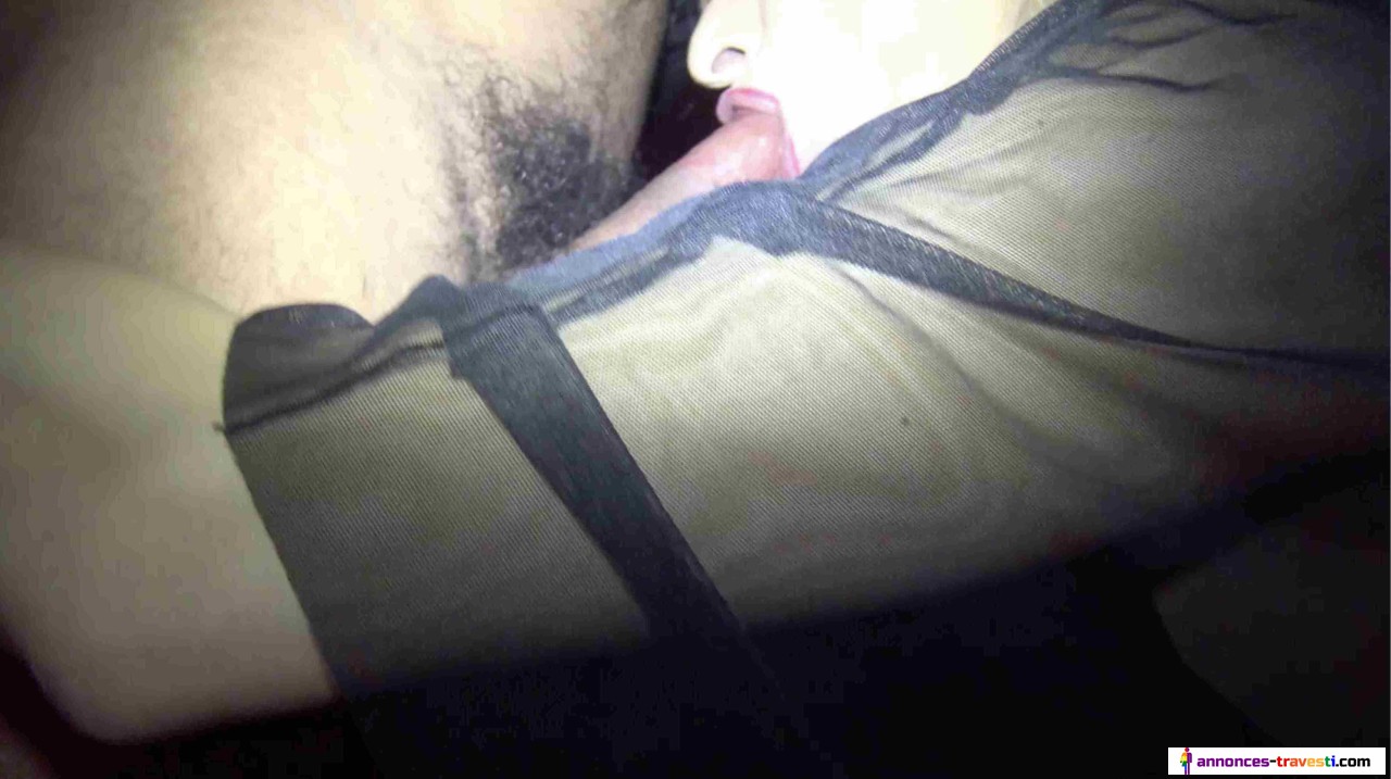 Arbia pute a rebeux et renois