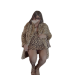 Membre