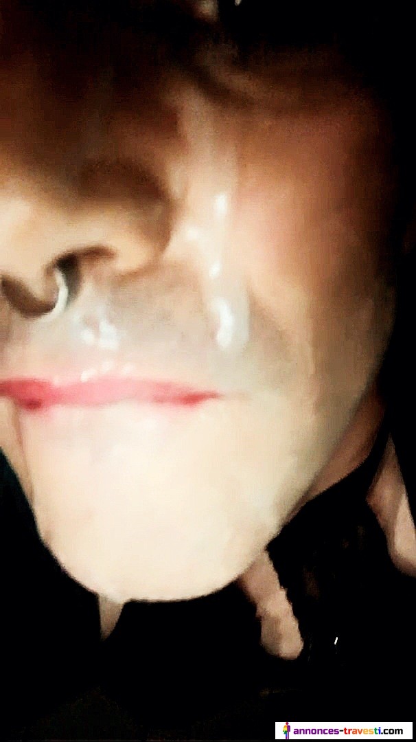 Lope chienne française vide couilles à Blois 41000