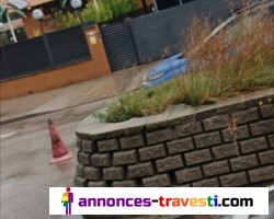 Pour amatrice de dogging