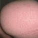Membre
