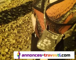 trav réaliseuse de fantasme