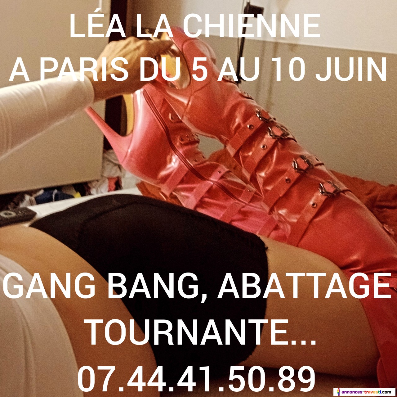 LÉA LA CHIENNE SAINT DENIS DU 5 AU 10 JUIN