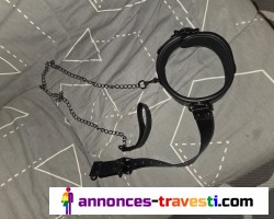 adapté pour toutes les chiennes