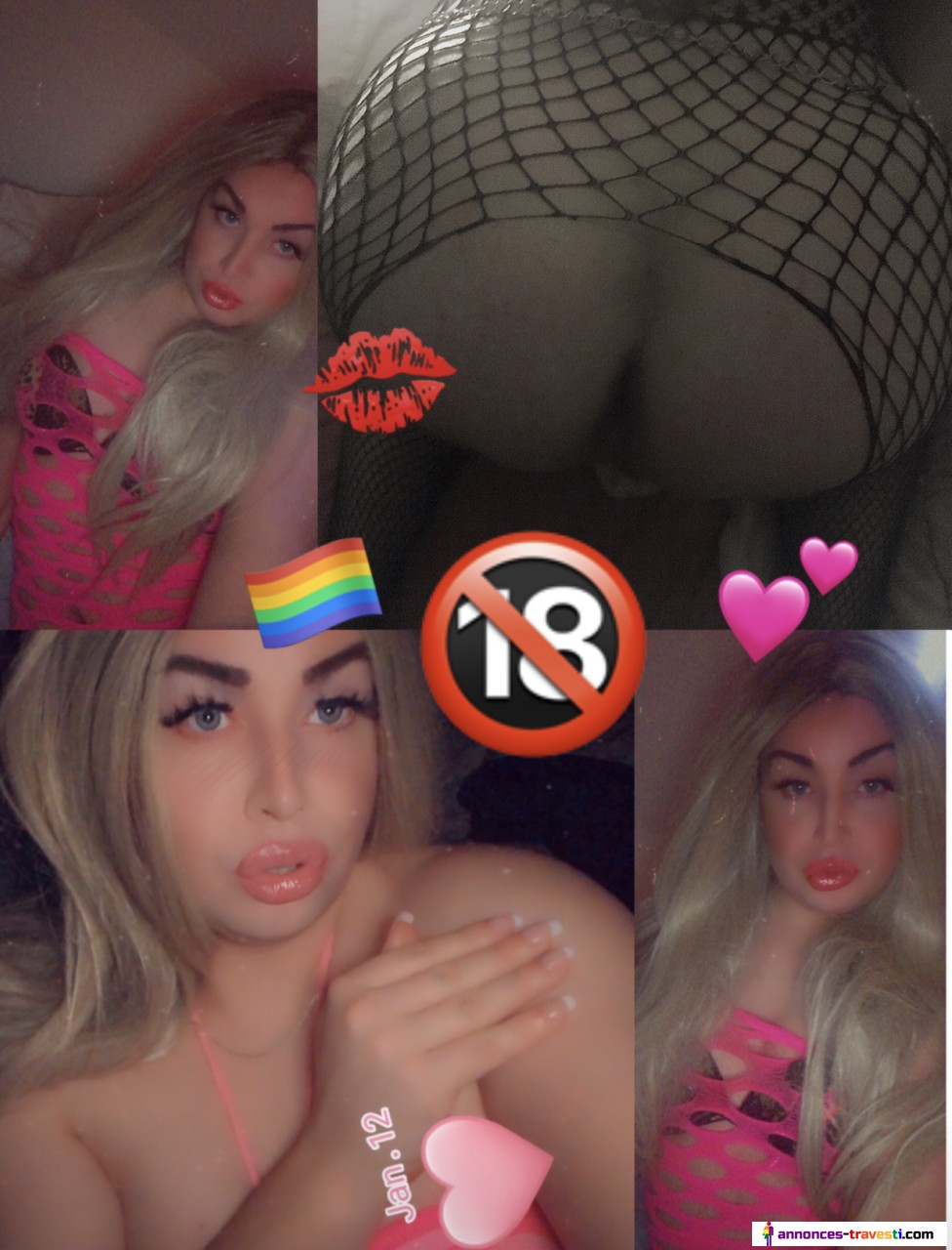 Chatte disponible