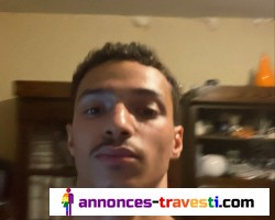 L’animal