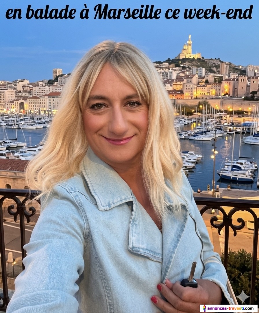 Chienne à l’étoile Marseille