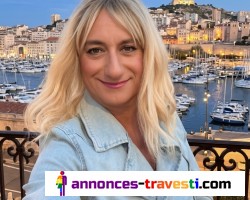 Chienne à l’étoile Marseille