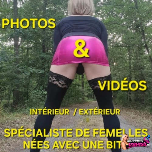 Membre
