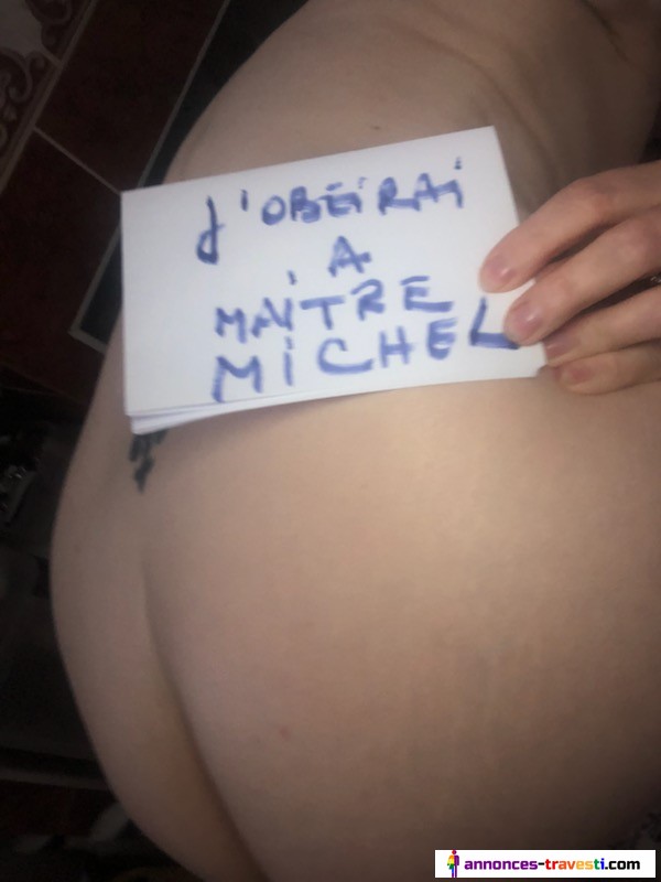 Gros Dominateur propose une vraie chienne a bites soumise