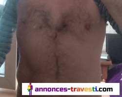 Arabe recherche travLope
