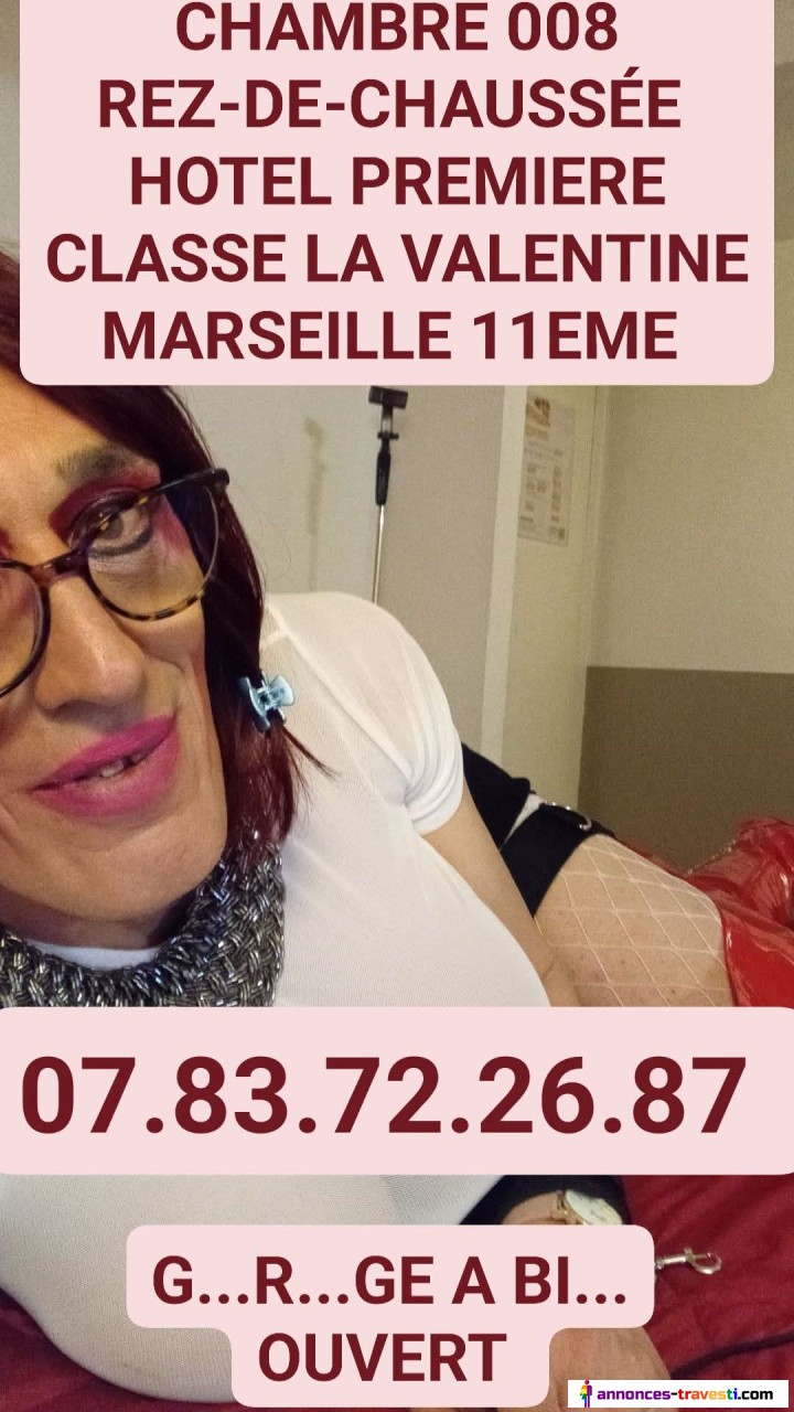 LÉA chienne la Valentine Marseille