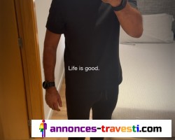 Dispo journée