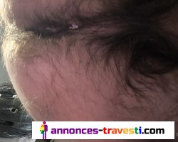 Envie de baise