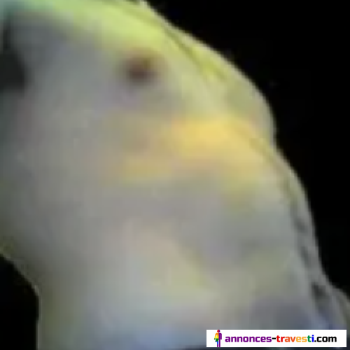Membre