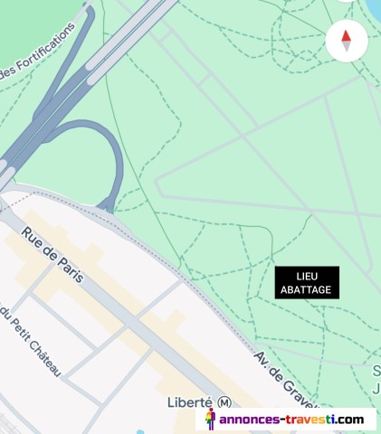 Léa la Chienne abattage bois de Vincennes ce jeudi soir