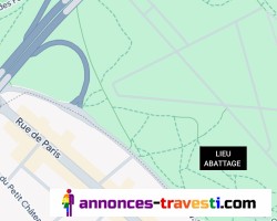 Léa la Chienne abattage bois de Vincennes ce jeudi soir