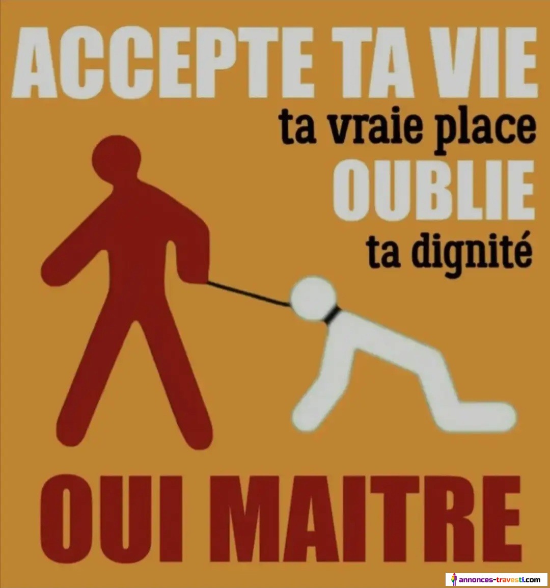 Gros Dominateur recherche de vraies chiennes soumises seules ou en couples