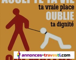 Gros Dominateur recherche de vraies chiennes soumises seules ou en couples