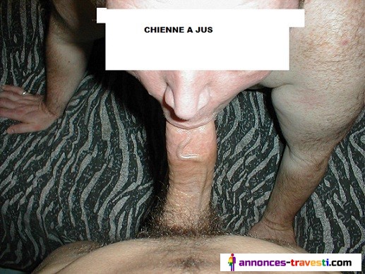 Travesti nympho pour jeune 18 a 35 ans