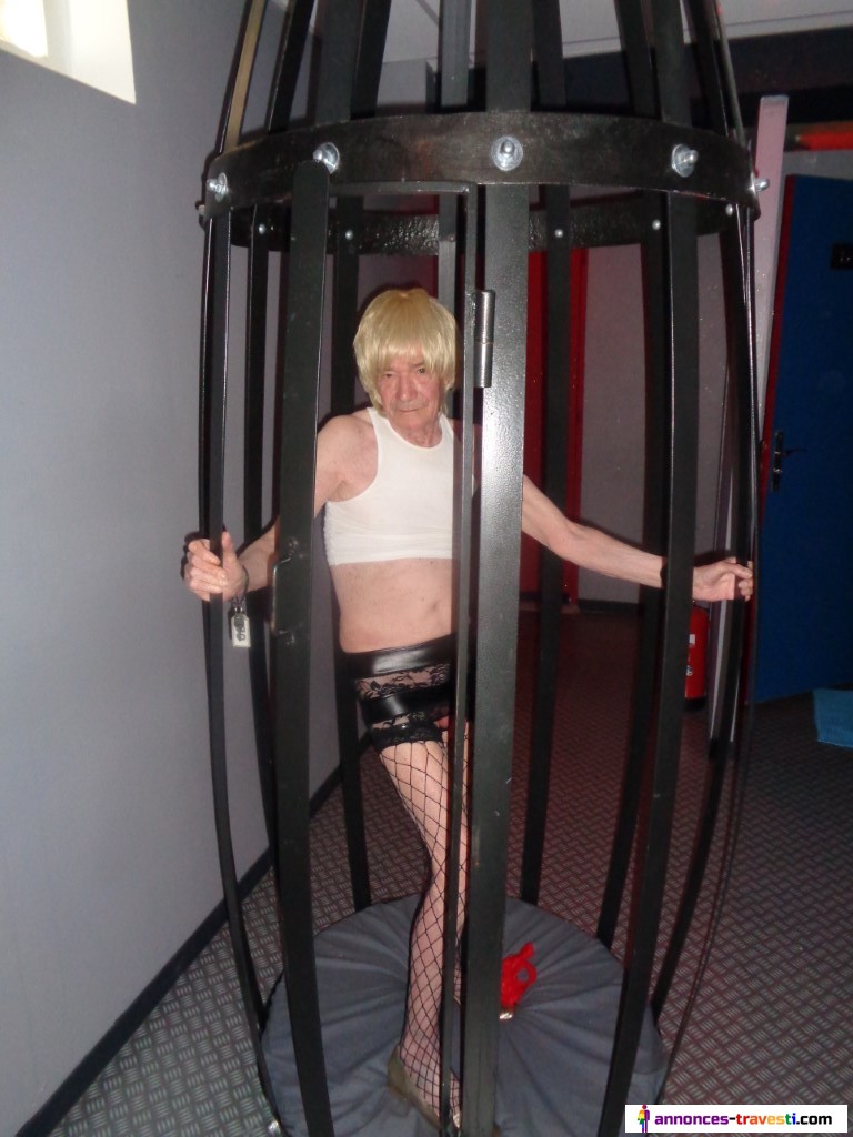 SALOPE mise en cage et exposée au saune HYLAS à VALENCE